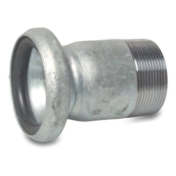 Female Bauer x Male BSP