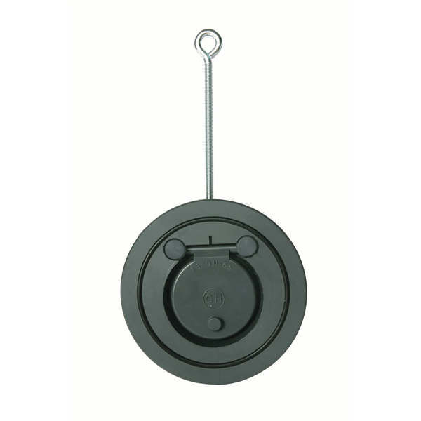 Swing-Check Valve
